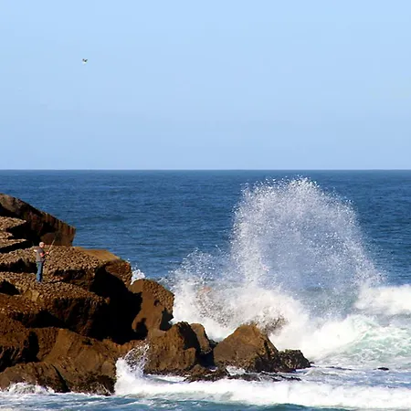 Wot Ocean Soul 酒店 滨海阿泽尼亚什